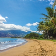maui-beach-1630540_640-pixabay