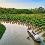 Travel to Vietnam Farm