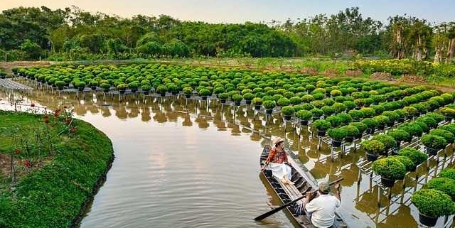 Travel to Vietnam Farm