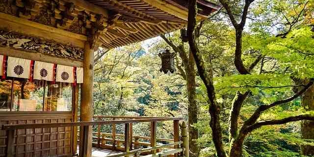 Travel to Japan Landscape